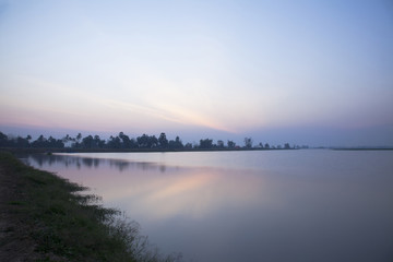 Fototapeta premium A pond is source of aquatic animals.