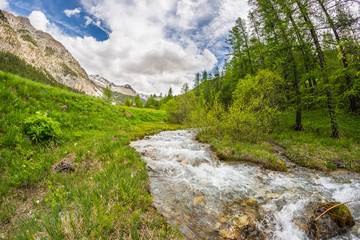 Fototapeta na wymiar Flowing transparent waters on high altitude alpine stream in idyllic uncontaminated environment in the Italian French Alps. Ultra wide angle view.