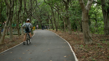 Obraz premium Thaïlande série