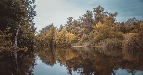 Obraz premium Atumn forest