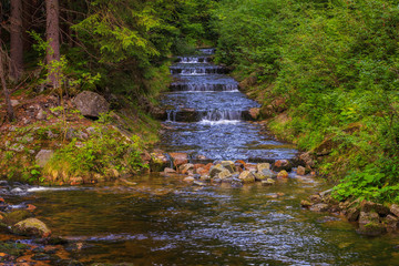 Water flows down the cascade of stones among the lush forest vegetation.