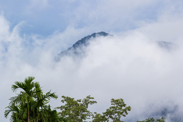 Obraz premium white fog over the mountain