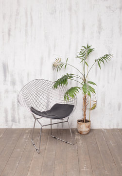 Metal lounge chair and a palm tree in bright interior