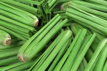 realistic 3d render of celery