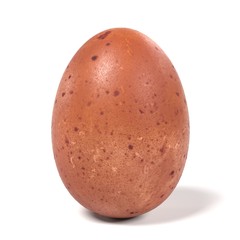 realistic 3d render of egg