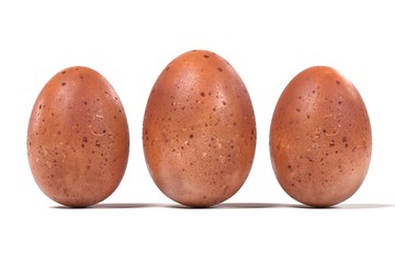 realistic 3d render of eggs