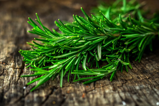  Fresh green aromatic rosemary on wooden table