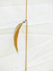 Golden feather on a chain