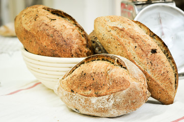 Mixed rye-wheat whole grain homemade sourdough bread