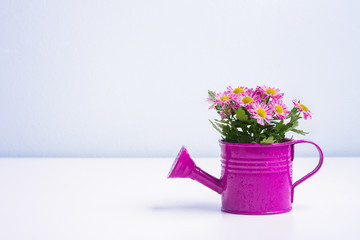 Isolated flower in a purple tin can