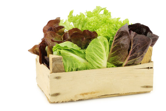 fresh romaine and red lettuce in a wooden crate on a white background