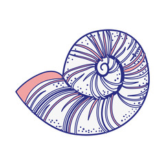 sea snail icon over white background. vector illustration