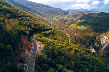 Forest road in Montenegro. Aerial.