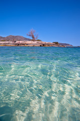 Wakacje na Krecie w Grecji. Idealna plaża Elafonisi z krystaliczną wodą. © rogozinski