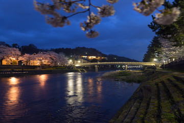 Fototapeta na wymiar 金沢の夜景　梅ノ橋と桜