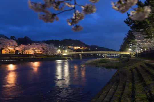 金沢の夜景　梅ノ橋と桜