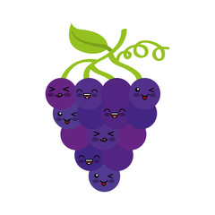 grapes fresh fruit kawaii character vector illustration design