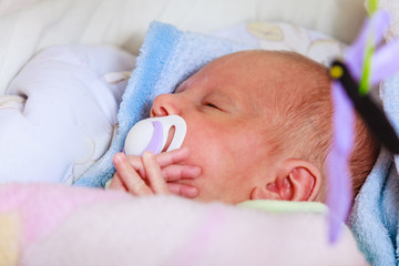 Closeup of little newborn sleeping with teat in mouth