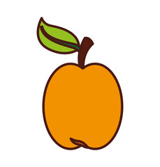 apple fresh fruit icon vector illustration design