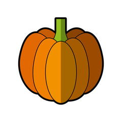 pumpkin fresh vegetable icon vector illustration design