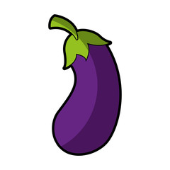 beet fresh vegetable icon vector illustration design