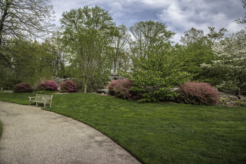 Fototapeta premium Botanical Garden
