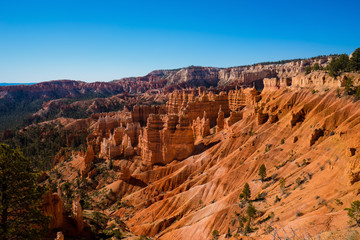 Hoodoos in in Bryce Canyon National Park, Utah