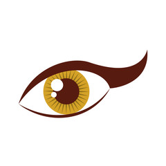 sexy female eye icon vector illustration design