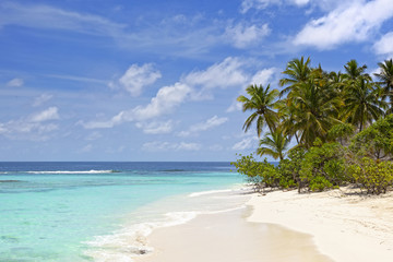Fototapeta na wymiar beautiful beach on tropical island