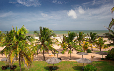 Fototapeta premium Sri Lanka Beach in Negombo