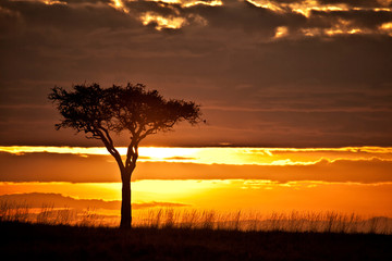 Sunrise in the Masai Mara, Kenya