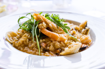 Tasty risotto with Shrimp, fresh herbs vegetables on a white plate