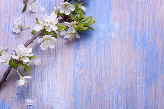 Fototapeta Spring Flowers on the blue background of an old vintage blue board