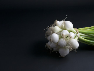 Fresh green and white spring onions with roots isolated on black background