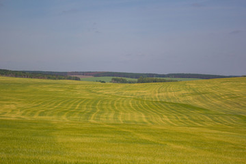 the nature of Siberia