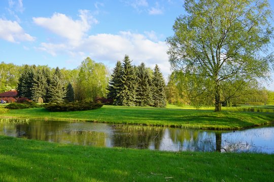 Beautiful spring day on the pond - beautiful green areas of the city - botanic garden 
