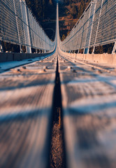 Obraz premium Geierlay Suspension Bridge