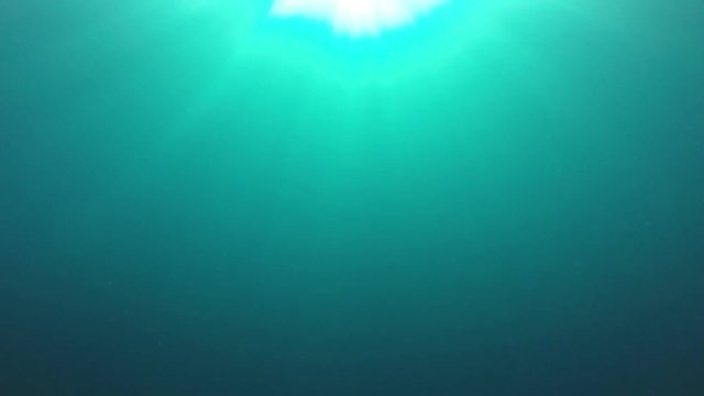 Underwater ocean footage with sunlight