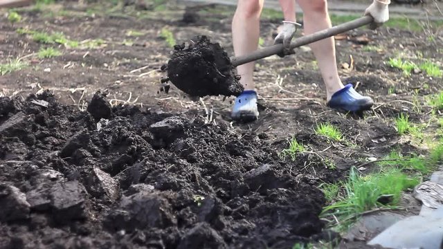 digging shovel garden beds