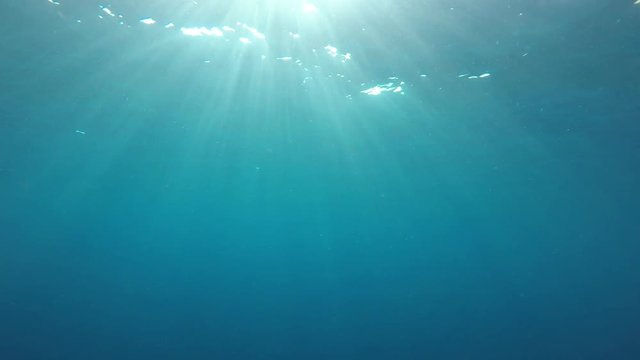 Underwater ocean footage with sunlight
