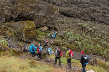 Photo sur Plexiglas Kilimandjaro Track on Kilimanjaro on the Machame Route Whiskey. 4 day