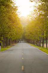 Fototapeta premium road