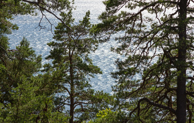 Ingarö 