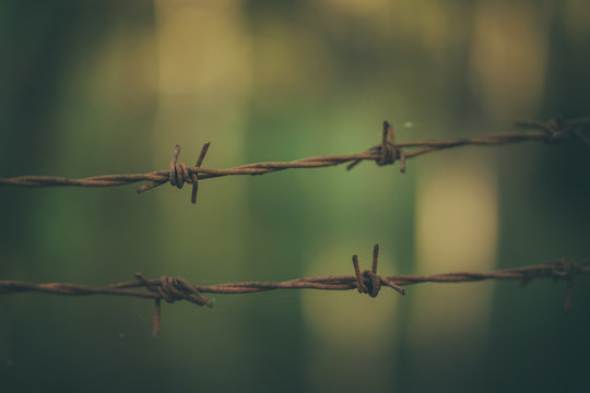 barbed wire