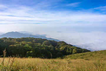Fototapeta na wymiar The view point on the top of mountain in Thailand winter and have a soft sea of fog at far away
