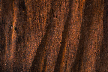 leafs fall rust brown old hard texture 