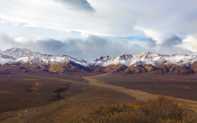 Mountain View in Denali National Park