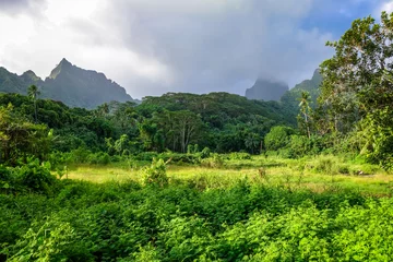 Store enrouleur sans perçage Île Moorea island jungle and mountains landscape