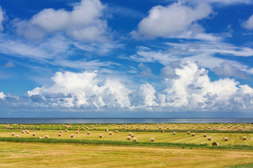 Fototapeta premium Landschaft im Spätsommer an der Sylter Ostküste - 3473