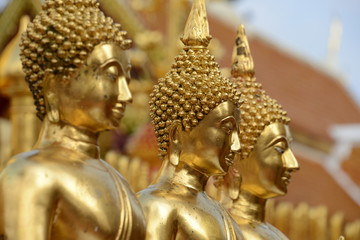 Golden statues 